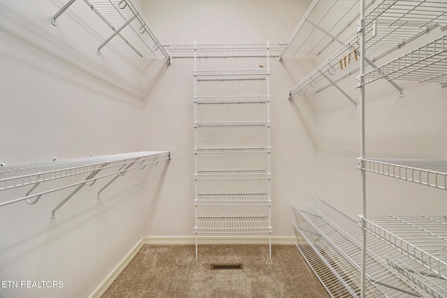 18 Inwood Dr, Fairfield Glade, TN 38558 - spacious closet with carpet flooring and visible vents