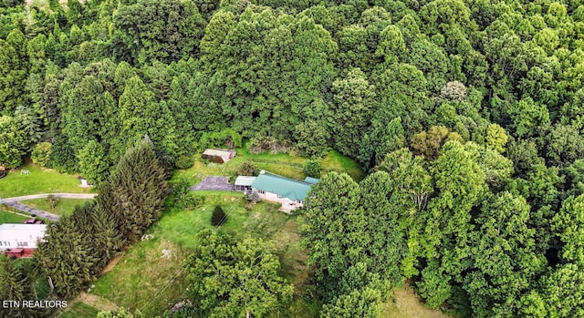 5100 Chandler Rd, Big Stone Gap, VA 24219 - photo 23