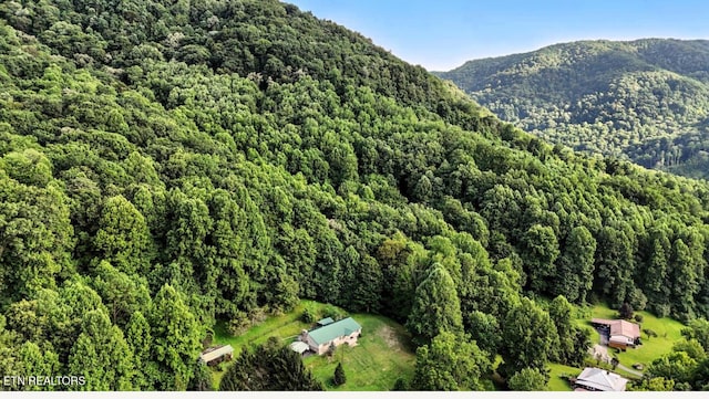5100 Chandler Rd, Big Stone Gap, VA 24219 - photo 20