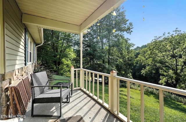 5100 Chandler Rd, Big Stone Gap, VA 24219 - photo 8