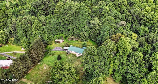 5100 Chandler Rd, Big Stone Gap, VA 24219 - photo 48