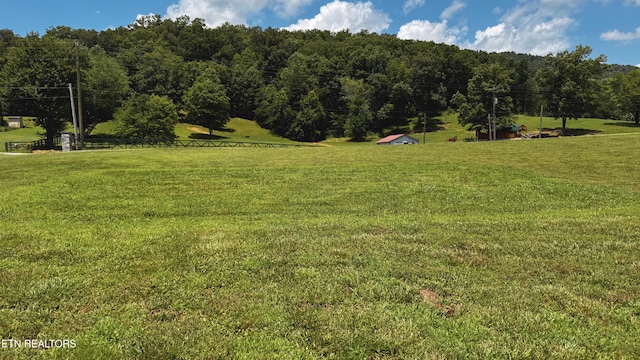580 Elk Fork Rd, Pioneer, TN 37847 - view of green lawn