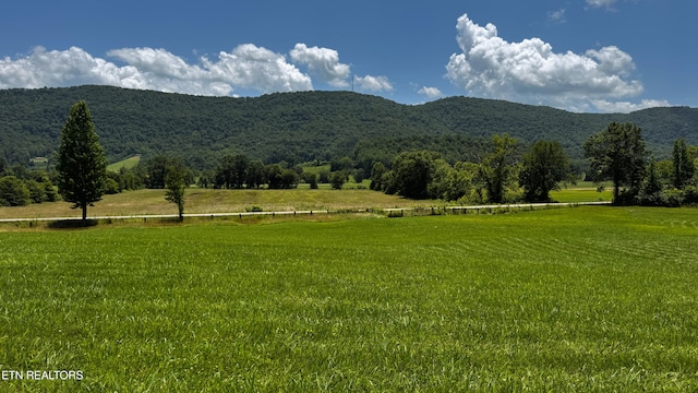 580 Elk Fork Rd, Pioneer, TN 37847 - view of mountain backdrop with rural landscape