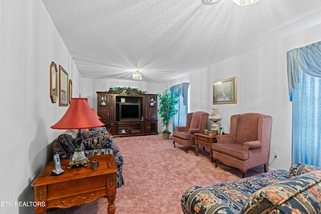 carpeted living area with a textured ceiling