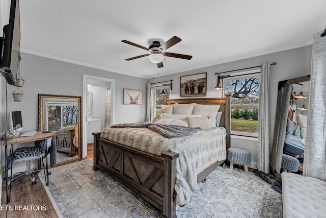 1533 Middlesettlements Rd, Maryville, TN 37801 - bedroom featuring wood finished floors, ornamental molding, ceiling fan, and multiple windows