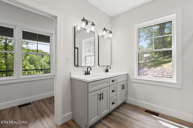520 Ridge Rd, Caryville, TN 37714 - bathroom featuring baseboards, wood finished floors, and double vanity