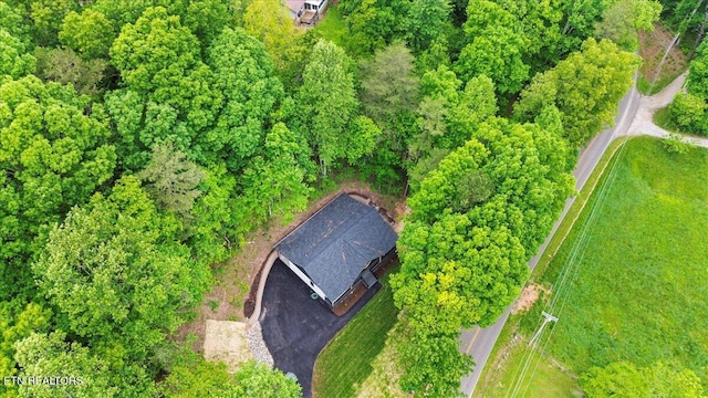 520 Ridge Rd, Caryville, TN 37714 - bird's eye view