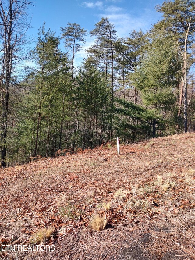 3376 Flintlock Ln, Sevierville TN, 37862 land for sale