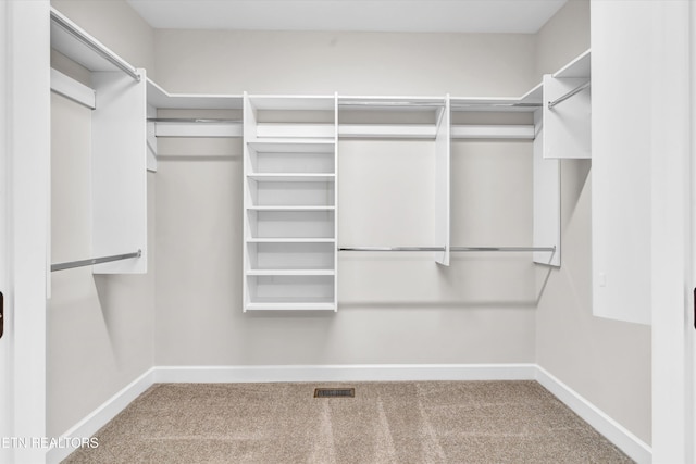 walk in closet featuring visible vents and carpet floors