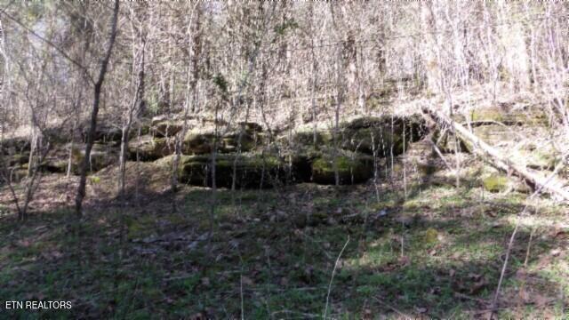 35.68AC Sugar Creek Rd, Gainesboro, TN 38562