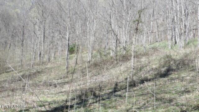 35.68AC Sugar Creek Rd, Gainesboro, TN 38562