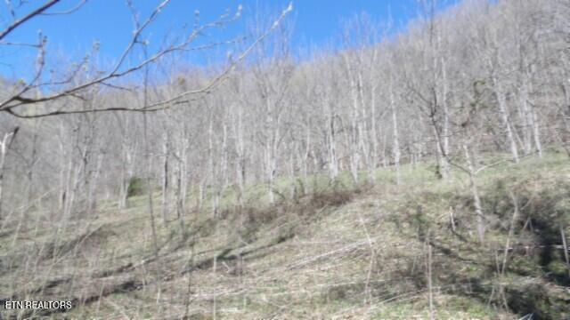 35.68AC Sugar Creek Rd, Gainesboro, TN 38562