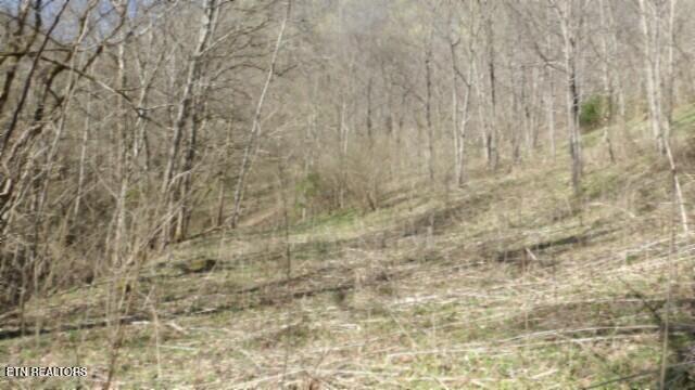35.68AC Sugar Creek Rd, Gainesboro, TN 38562