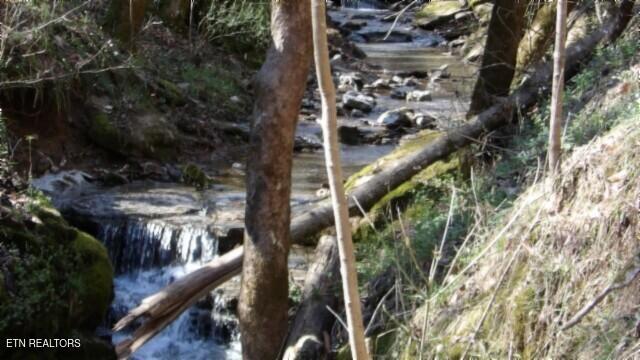 35.68AC Sugar Creek Rd, Gainesboro, TN 38562