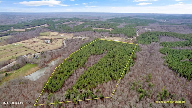 0 Morgan Co Hwy, Sunbright, TN 37872
