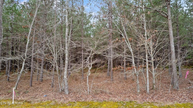 0 Morgan Co Hwy, Sunbright, TN 37872