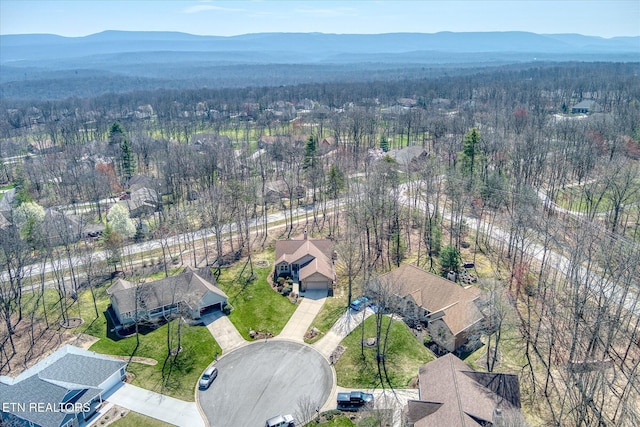 16 Creigmont Ct, Fairfield Glade, TN 38558 - photo 39