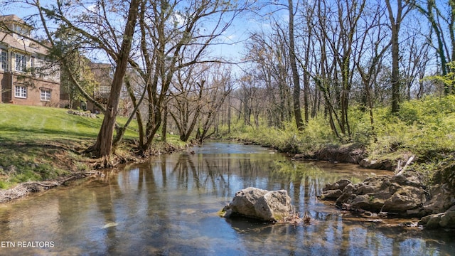 6429 Cobblecreek Way, Knoxville, TN 37919 - photo 46