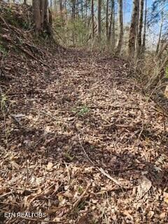 Little Elk Creek Rd, Pioneer, TN 37847