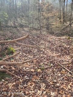 Little Elk Creek Rd, Pioneer, TN 37847