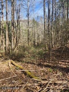 Little Elk Creek Rd, Pioneer, TN 37847