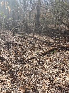 Little Elk Creek Rd, Pioneer, TN 37847