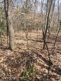 Little Elk Creek Rd, Pioneer, TN 37847