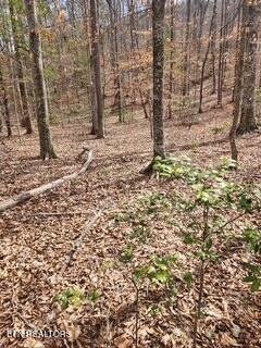 Little Elk Creek Rd, Pioneer, TN 37847