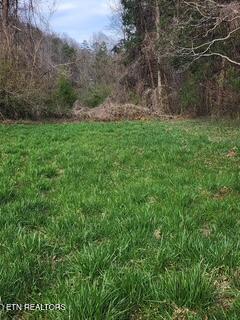 Little Elk Creek Rd, Pioneer, TN 37847