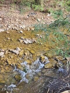 Little Elk Creek Rd, Pioneer, TN 37847