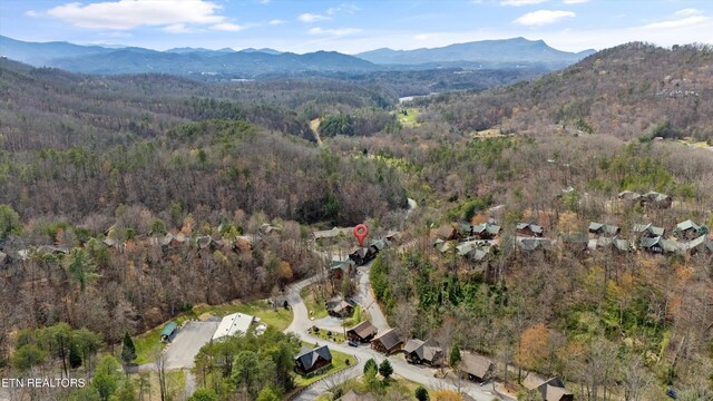 1544 Boo Boos Way, Sevierville, TN 37862 - photo 40