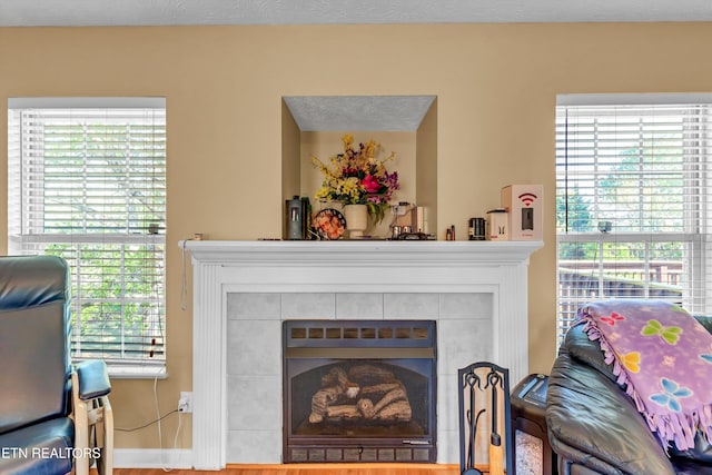 living room featuring a wealth of natural light and a fireplace