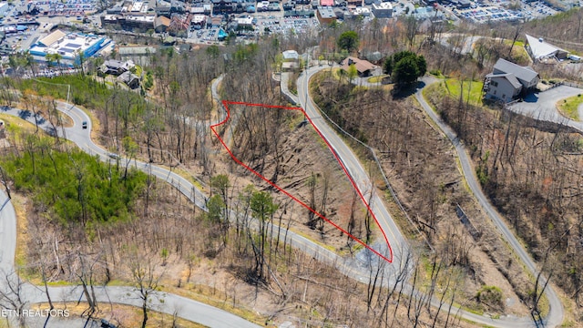 419 Campbell Lead Rd, Gatlinburg, TN 37738