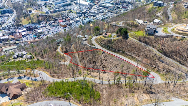 419 Campbell Lead Rd, Gatlinburg, TN 37738