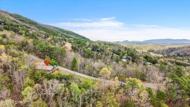 property view of mountains