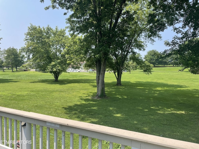 3576 E Atherton Ln, Baneberry, TN 37890 - view of green lawn