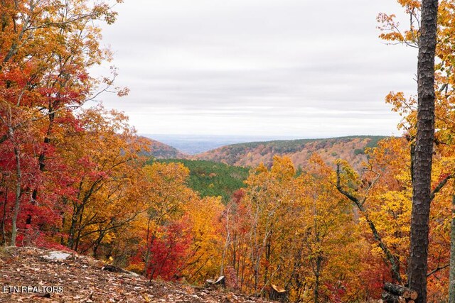 000 Worley Rd, Soddy-Daisy, TN 37379 - photo 8