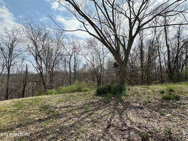 view of nature with a wooded view