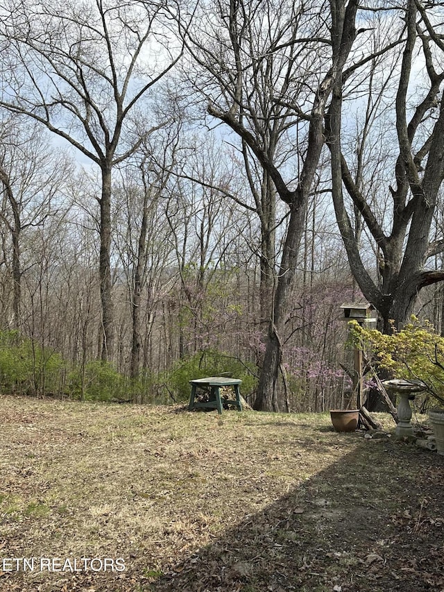 view of yard featuring a forest view
