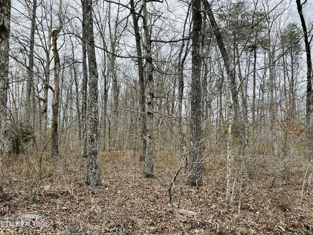 19 Linda St, Crossville, TN 38572 - photo 8