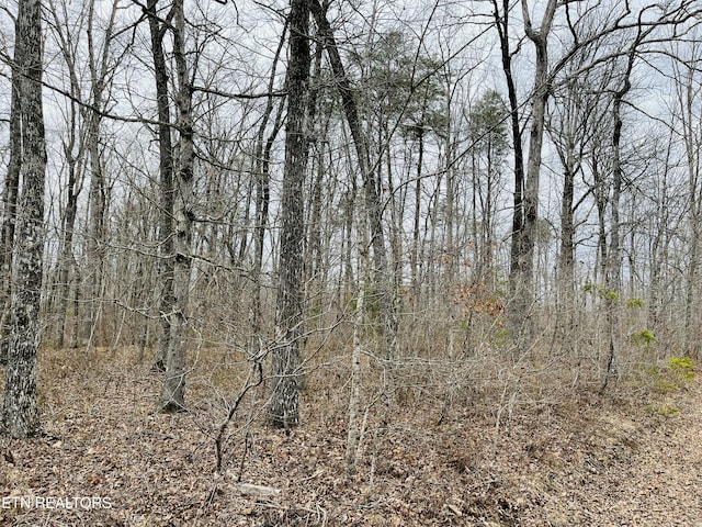 19 Linda St, Crossville, TN 38572 - photo 9