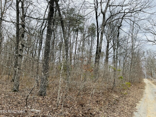 19 Linda St, Crossville, TN 38572 - photo 10