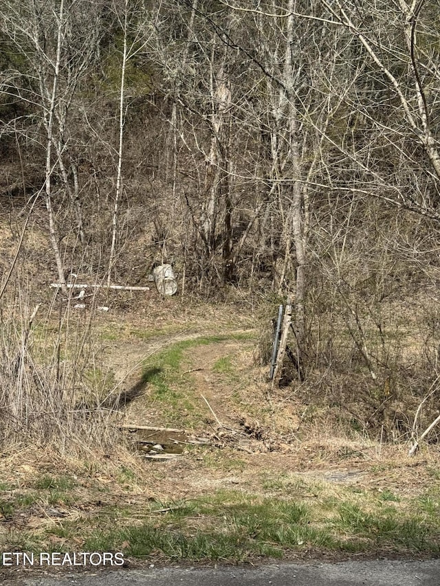 Bear Creek Rd, Bybee, TN 37713