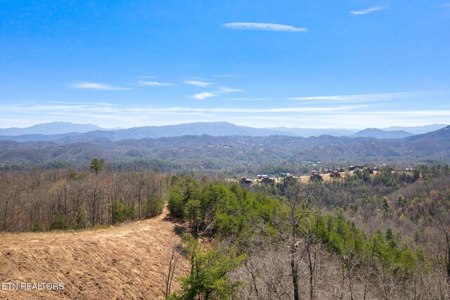 3222 Laurel Cove Trl, Sevierville, TN 37862