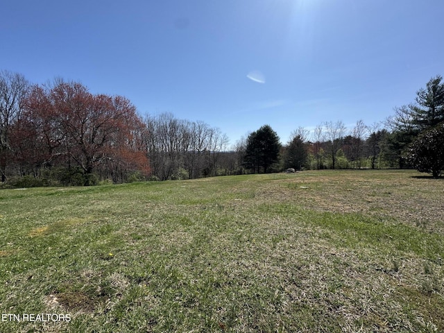 1347 Leffle Webb Rd, Crossville, TN 38572 - view of yard featuring a forest view