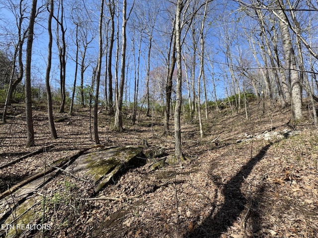 1347 Leffle Webb Rd, Crossville, TN 38572 - view of local wilderness