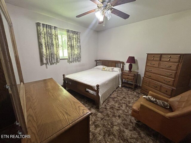1008 Boyds Creek Hwy, Seymour, TN 37865 - bedroom with ceiling fan