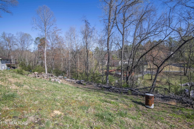 view of yard with a view of trees