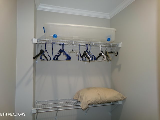 interior space featuring crown molding