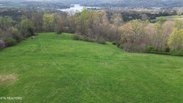 view of yard featuring a wooded view